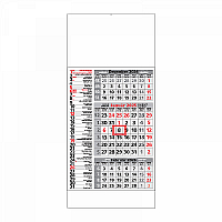 Plánovací kalendár ŠTANDARD 3M kombi 2025 