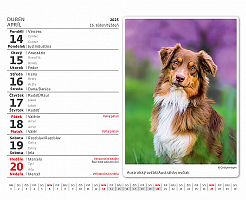 Kalendár Psíčkovia 1